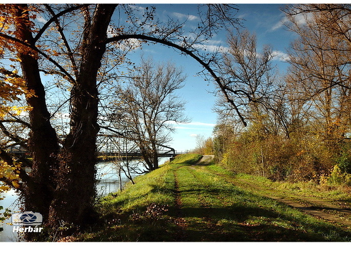 chodníčkom k mostu