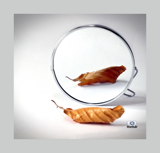 zrkadielko,povedz že mi kto......