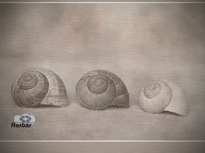 traja uliťáci,,tankujú super,,