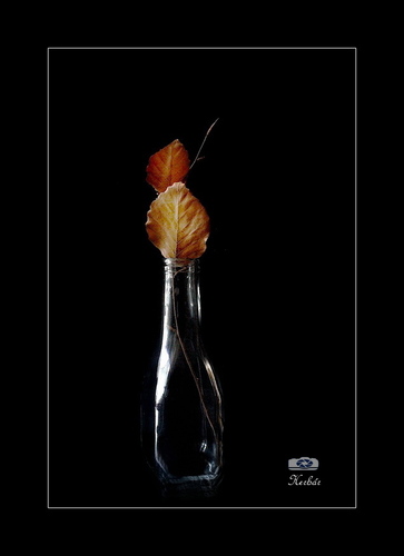 s jesennými listami