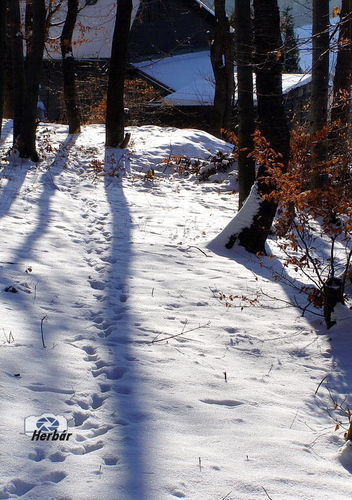 čas dlhých tieňov