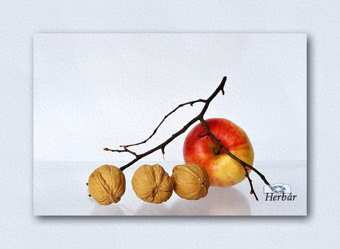 orechy pre popolušku