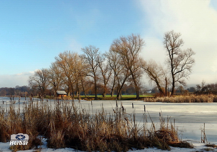 popoludnie pri jazere