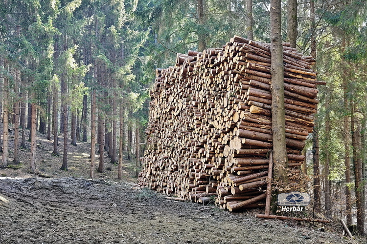 zima ešte neskončila