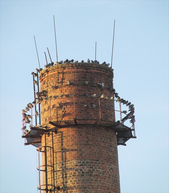 Čím bližšie k slniečku