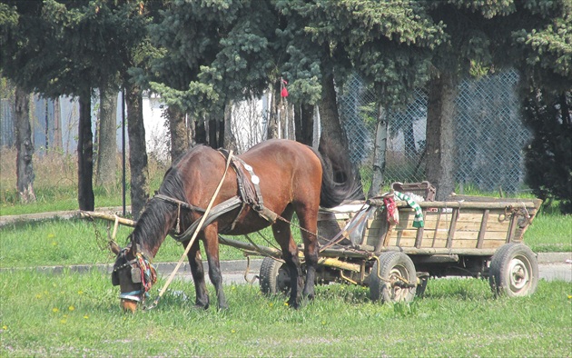 Tankovanie počas čakania