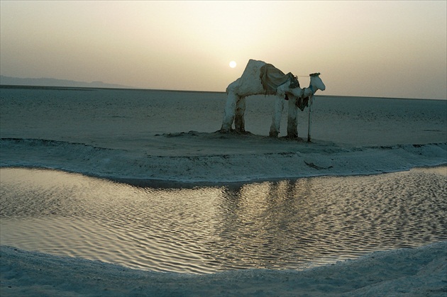 Svitanie nad púšťou (vyschnuté solné jazero)