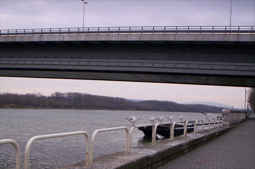 Most cez Dunaj