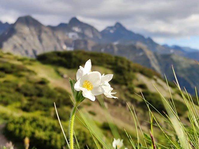 ⛰️&🌾