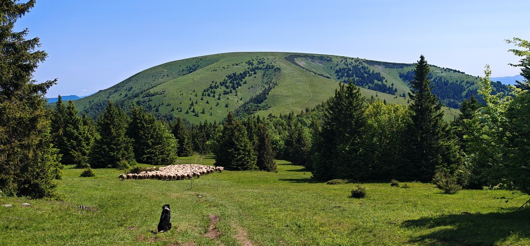Ovčiarstvo pod Ploskou