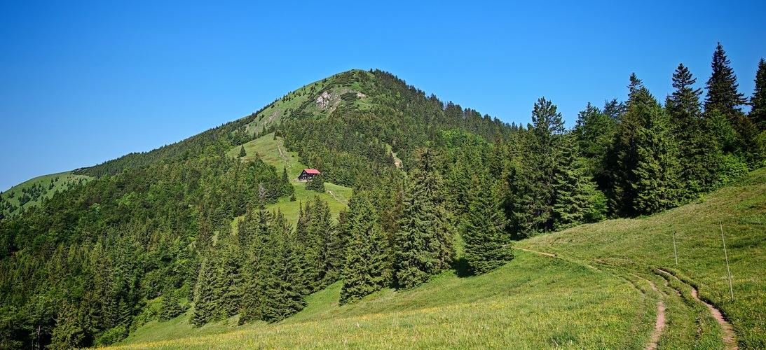 Borišov&ch.pod Borišovom