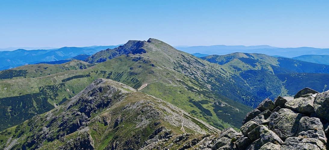NAPANTOM