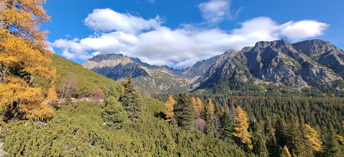 Scenéria