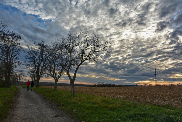 Listopadová neděle