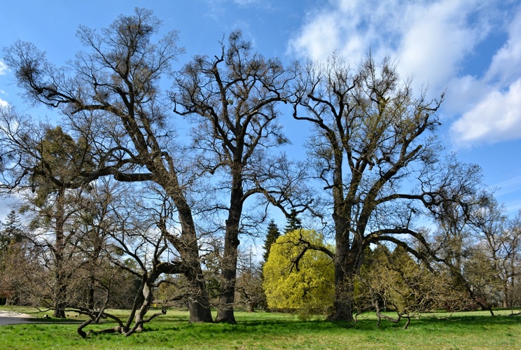 Dubnový park