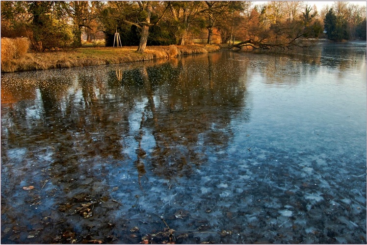 Zamrzlý rybník