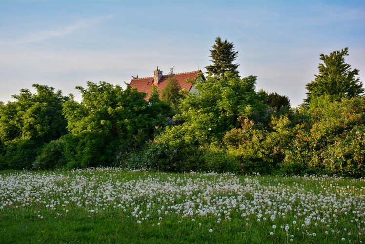 Podvečer