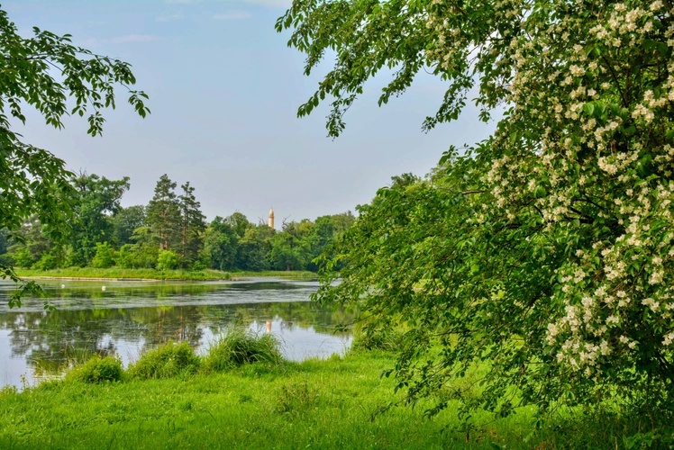 Jasmínová