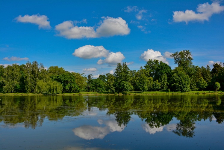 Letní krajina