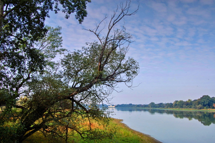 Hlohovecký rybník