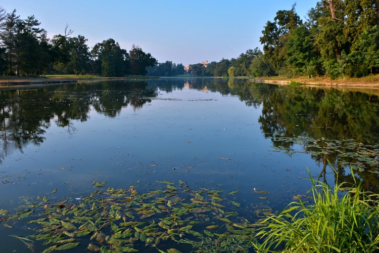 Přes rybník
