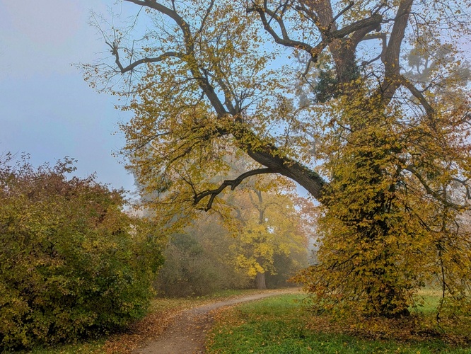 Podzimní chodníček