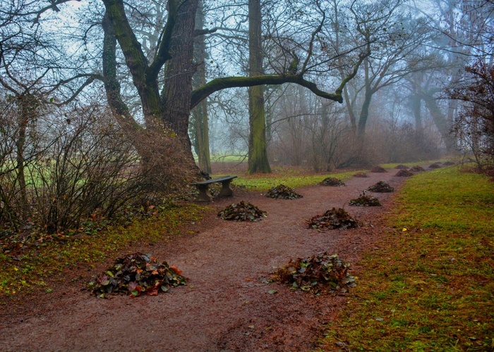 V dvojřad nastoupit!