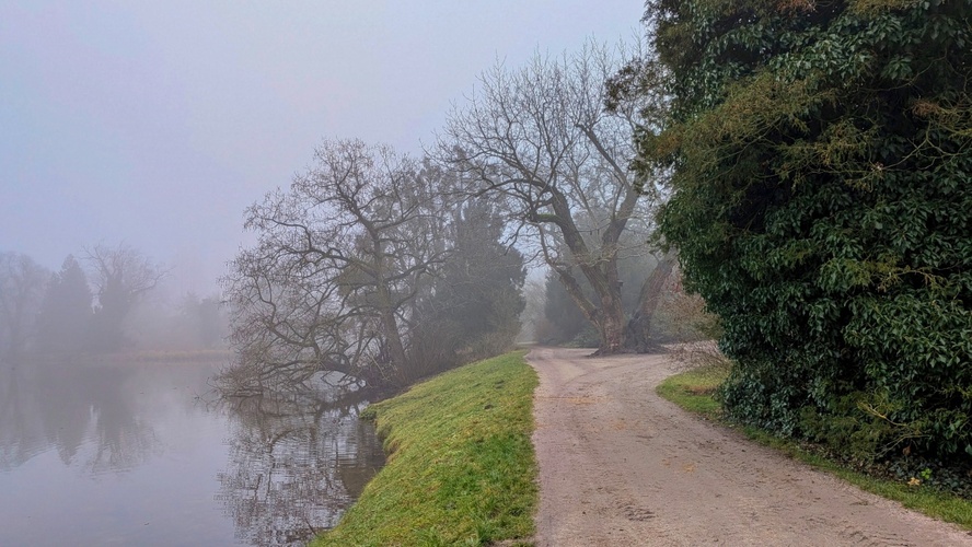 Mlha nad rybníkem