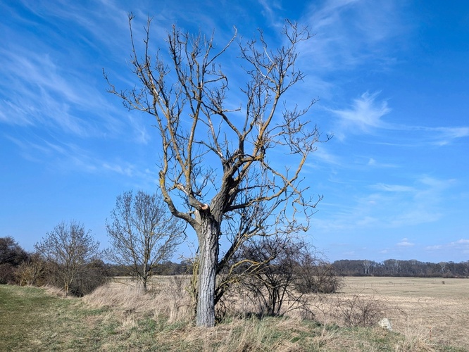 Na Dolních loukách