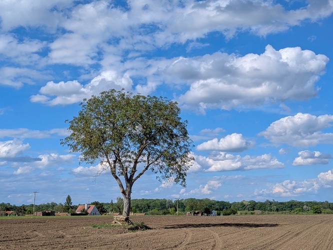 Oblačno