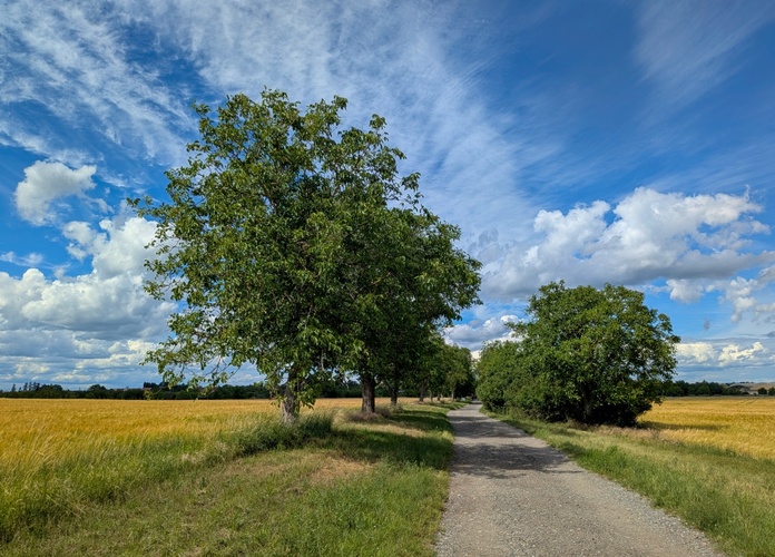 V Novodvorské aleji