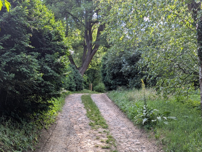 V parku