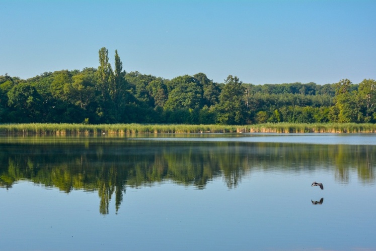 Prostřední rybník