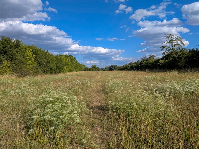 Červencová