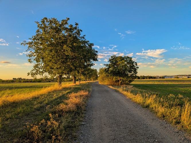 Podvečer