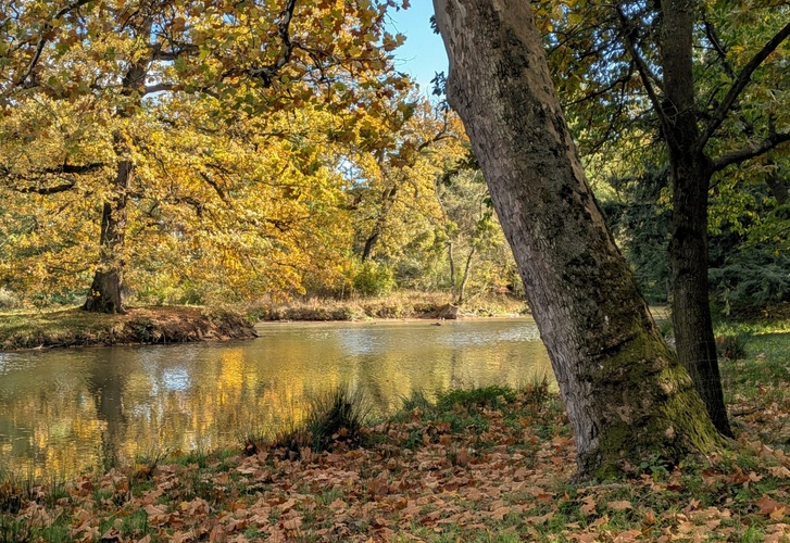 Podzim