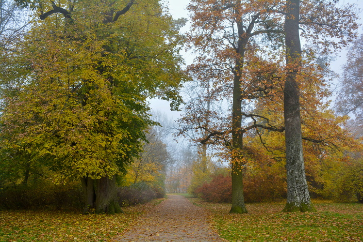 V parku