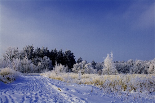 Zima u Kunratického lesa