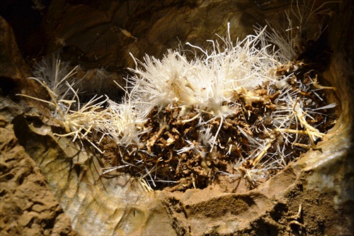 Výzdoba Ochtinskej aragonitovej jaskyne