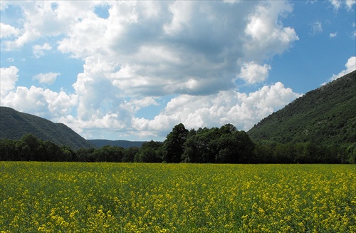 Medzi planinami