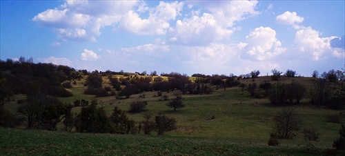 Planina