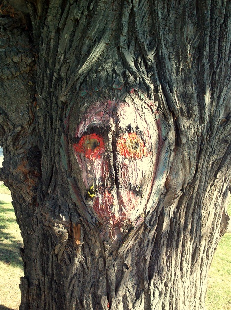 tvár na strome...