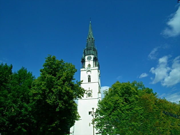 Veža kostola v zajatí stromov