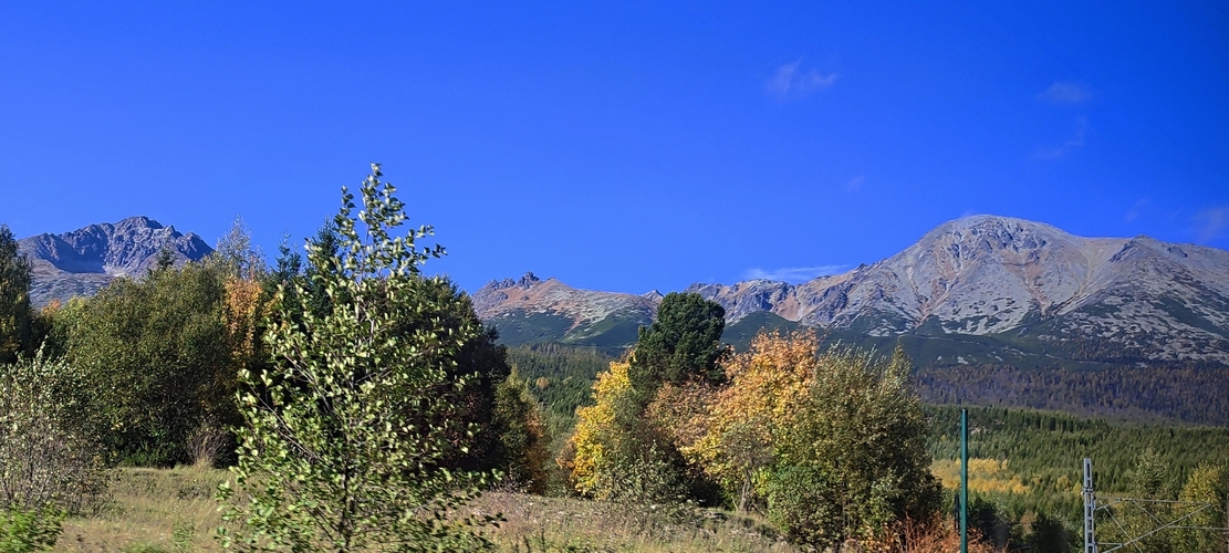 Gerlach, Bradavica, Slavkovský