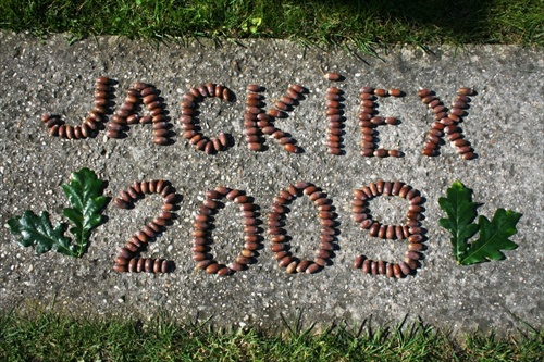 JackieX - 2009