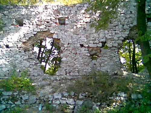 Zrúcanina hradu Dobrá Voda