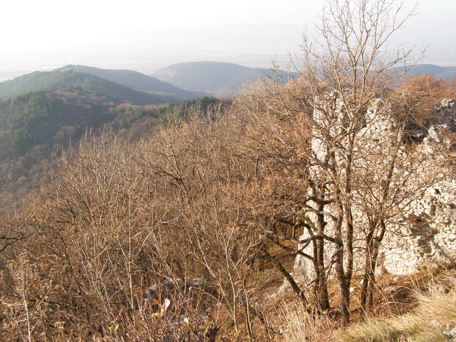 Výhľad z hradu Tematín