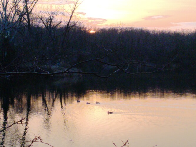 Kačky na Malom Draždiaku