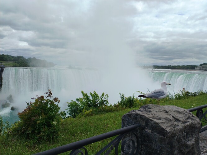 Niagara