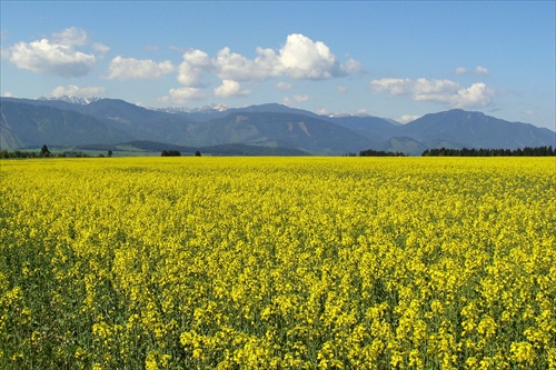 Nízke Tatry